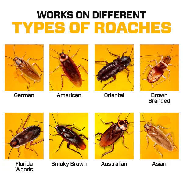 Roach Killer™ Gel - Safe & Powerful Cockroach Killer for Kitchens, Bathrooms & Cabinets