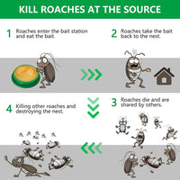 Roach Killer™ Gel - Safe & Powerful Cockroach Killer for Kitchens, Bathrooms & Cabinets